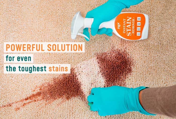 TWX® Home Instant Stain Remover